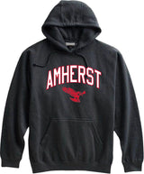 AMS- Hoodie - Amherst Arch with Eagle